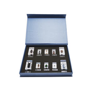 Especímenes de Insectos Reales en Resina, Diez Insectos Dañinos, Educación Científica, Biología - Product Image 1