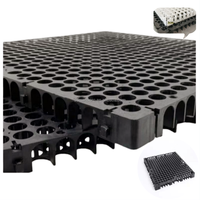 Plaque de drainage en plastique avec trous de drainage, cellule de drainage 30 mm, canal de drainage pour sol en béton, drainage ventriculaire de toiture, panneau de drainage siphonique