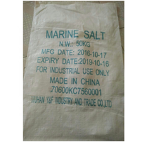 Coarse Sea Salt for Industrial Use Marine Large Grain Manufacturing Salt Sodium Chloride