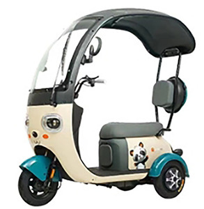 Tricycle électrique cargo 1000W, tricycle électrique à carrosserie ouverte, tricycle électrique 48V pour adultes, tricycle électrique 2 places pour adultes - Product Image 1