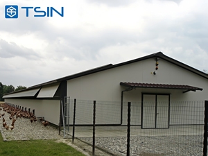 Tsin thiết kế thực tế chống gió & tuyết đẹp & an toàn lắp đặt chuồng gà đơn giản cho các trang trại - Product Image 3