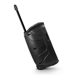 Nhà Sản Xuất CQA 8 Inch Giá Rẻ Xách Tay Không Dây BT Đảng Hoạt Động DJ Karaoke Xe Đẩy Loa - Product Image 4