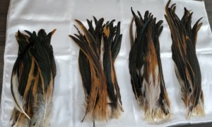 Bán Buôn Trong Kho Chất Lượng Cao Tự Nhiên Dậu Đuôi Lông Bằng Đồng Coque Đuôi Lông Cho Đảng Đám Cưới Lễ Hội Trang Trí - Product Image 6