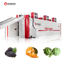 Industriële fruitdroger met gasverwarming, 380V, automatisch, bandtype, voor voedselverwerking