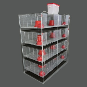 Cage à poulets <span class=keywords><strong>en</strong></span> acier galvanisé isolé hautement résistant à la rouille pour l'élevage <span class=keywords><strong>de</strong></span> cailles et <span class=keywords><strong>de</strong></span> cochons d'Inde, nouvelle garantie d'un an - Product Image 4