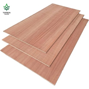 Lámina <span class=keywords><strong>de</strong></span> Madera Contrachapada <span class=keywords><strong>de</strong></span> 3mm 4x8 <span class=keywords><strong>de</strong></span> <span class=keywords><strong>Cedro</strong></span>, Tilo, Abedul, Narra China, Tablero <span class=keywords><strong>de</strong></span> Chapa <span class=keywords><strong>de</strong></span> Madera para Gabinetes y Armarios - Product Image 1
