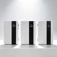 Batterie lithium 48V 51.2V 200Ah 10kWh murale et sur pied, cellules lithium de grade A avec BMS pour système de stockage solaire domestique hybride