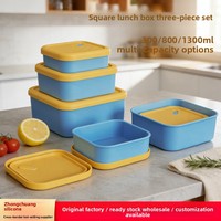 Fabrieksgroothandel siliconen rechthoekige lunchbox, vaatwasser- en magnetronbestendig, bento box, fruitbewaarbox voor buiten