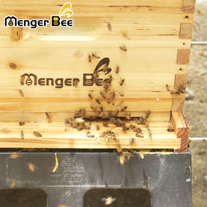 รังผึ้งไม้เคลือบขี้ผึ้งใหม่ 3 ชั้น 10 เฟรม แบบแลงสตรอธ อุปกรณ์เลี้ยงผึ้งสำหรับน้ำผึ้ง - Product Image 5