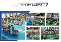 Automatische friet-, fruit- en groenteverwerkingsmachine voor standaardproductie, 300-500 kg/uur, geschikt voor professionele B2B-toepassingen.