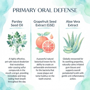 น้ำยาดูแลช่องปากสัตว์เลี้ยง OEM สำหรับสุนัขและ<span class=keywords><strong>แมว</strong></span> ช่วยให้ลมหายใจสดชื่น ลดคราบพลัคและหินปูน บำรุงสุขภาพฟัน ขนาด 60 มล. - Product Image 4