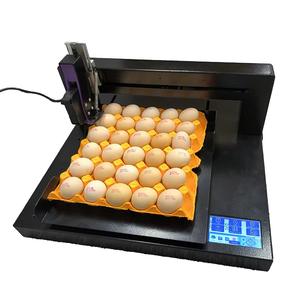 Impresora de huevos de inyección de tinta continua económica Yaomatec, máquina de inyección de tinta de estampado de codificación de fecha de un solo cabezal para huevos - Product Image 3