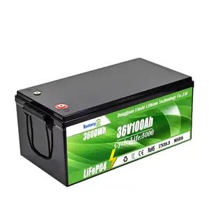 Lifepo4 Battery 36V 100Ah Lithium Battery 36V Smart Battery Lead Acid Replacement For Sightseeing Cars/RV