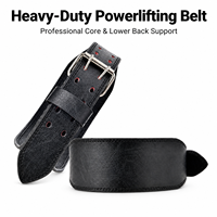 Ceinture de musculation promotionnelle avec logo personnalisé, soutien lombaire professionnel pour la gym, commande en gros, directement de l'usine, ceinture de fitness OEM