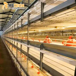 Retech Modern tasarım kümes hayvanları otomatik Broiler tavuk yetiştiriciliği ekipmanları