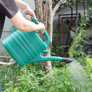 Premio lungo beccuccio annaffiatoio per la casa di <span class=keywords><strong>piante</strong></span> all'aperto spruzzatore a mano ornamenti da giardino annaffiatoio per <span class=keywords><strong>piante</strong></span> - Product Image 3