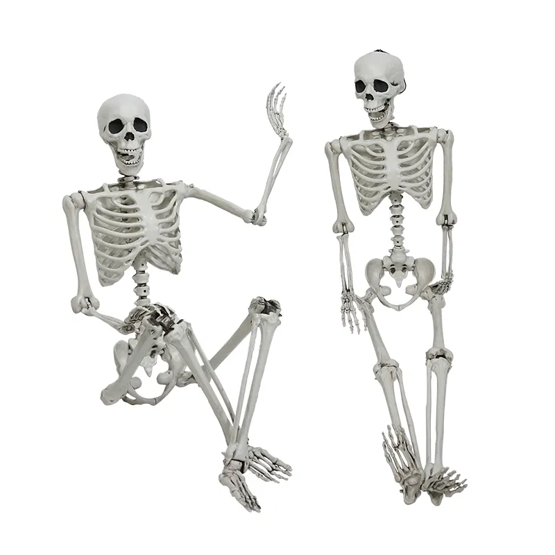 Wholesale Fashionable Hot Selling Movable Scary Joints Full Body Life Decoration Ghost Halloween Human Skeleton For Sale