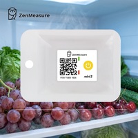 ZenMeasure Enregistreur de données de température jetable à usage unique, étiquette de température sans fil pour la logistique mondiale, outil de surveillance de la chaîne du froid, instruments de mesure de température