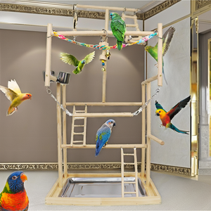Support de jeu interactif en bois pour perroquet avec échelles et mangeoires pour l'activité des oiseaux - Product Image 2
