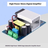 Mono sahne güç amplifikatörü kurulu HIFI ateş Subwoofer 1000W yüksek güç irir92s dijital güç amplifikatörü DIY çin