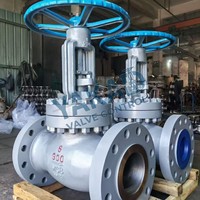 Válvula de Compuerta de Acero Inoxidable con Brida Marina, Alta Presión 25 Bar, para Aceite, Gas y Vapor