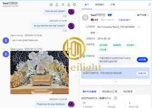 Meilleure vente rideau étoile LED dorée scintillant au plafond lumières contrôle DMX pour les mariages rideau de scène de nuit - Product Image 6