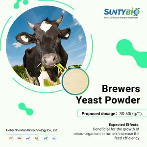 مستحضر مسحوق خميص البيرة مكون من مكونات بروتين التغذية يستخدم في تغذية الحيوانات
