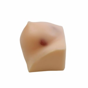 超音波乳房腫瘍穿刺モデル超音波ガイド乳房腫瘍穿刺トレーニングモデル一部の機能はカスタマイズ可能 - Product Image 2