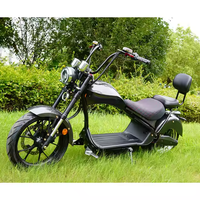 Scooter Eléctrico Citycoco de 2 Ruedas con Doble Motor de 2000w y 4000w, Entrega a Domicilio desde Almacén en la UE