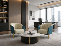 Fauteuil d'appoint de bureau capitonné élégant, mobilier de salon professionnel adapté à la réception de bureau et aux salons de thé