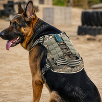 Harnais pour chien Qcool avec distribution de pression, sangle en nylon anti-traction, poignée dorsale, anneau en D métallique, pour l'entraînement en extérieur, taille moyenne, avec LED de sécurité pour animaux de compagnie
