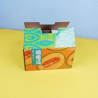 Impression de boîtes de carton ondulé carré coloré réutilisable écologique personnalisé pour fruits et collations pastèque Boîtes d'emballage en papier