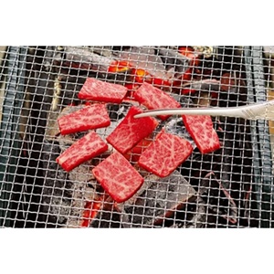 Pince de cuisine en acier inoxydable, longue et précise, pour barbecue, pique-nique et camping - Product Image 4