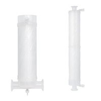 Filter Kapsul Membran PES Steril 0,22 Mikron, Inlet Tri Clamp 1,5 inci, Sekali Pakai, 10 inci, untuk Filtrasi Laboratorium