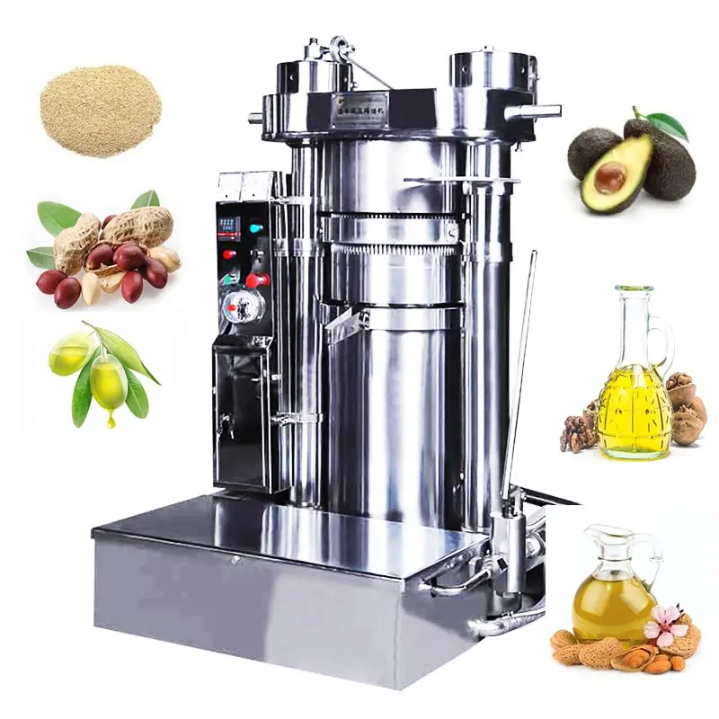 High Quality Motor 220V Sesame Oil Filling and Making Production Line Pine Nut Virgin Coconut Oil Processing Machine for Sale