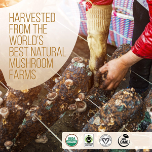 ผงกาแฟเห็ดซุปเปอร์ฟู้ด<span class=keywords><strong>7</strong></span>ชนิดออร์แกนิกสำหรับผู้ใหญ่ประกอบด้วยแผงคอสิงโต - Product Image 6