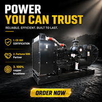 Générateur diesel haute performance 300 KVA, générateur de puissance 250 kW avec ATS Cummins pour l'alimentation de secours des bâtiments commerciaux