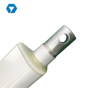 <span class=keywords><strong>6000N</strong></span> 12V 24V Dc Waterpoof Giường Điện Tuyến Tính Thiết Bị Truyền Động Với <span class=keywords><strong>IP66</strong></span> - Product Image 6