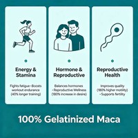 Bonbons Gommeux Véganes Maca Plus Courbe Extrême 60 Unités – Complément Alimentaire à Base de Racine de Maca Noire pour Femmes – Soutien à la Croissance Musculaire