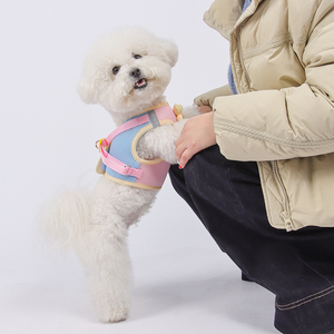 صانعة تصميم كلب طقم حزام شبكي قابل للتنفس لوازم القطط - Product Image 3