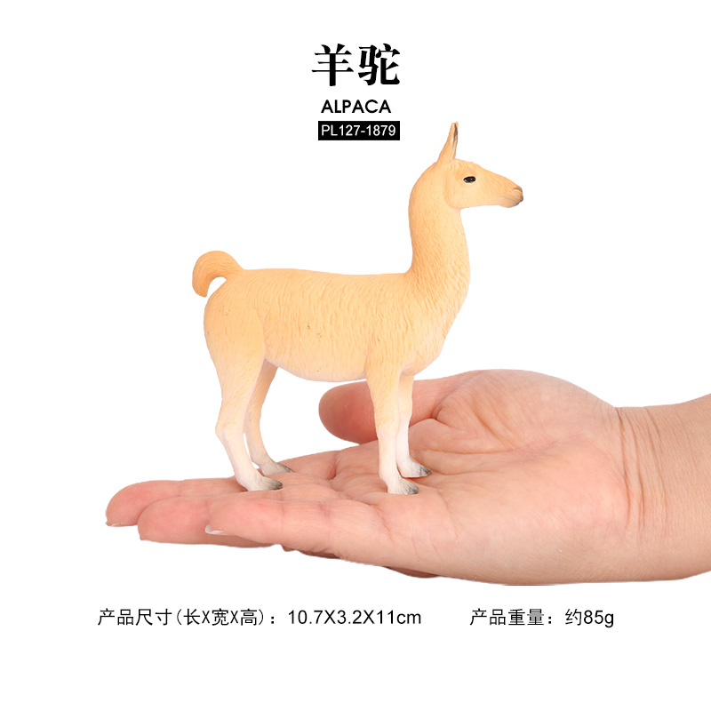 1879 Alpaca