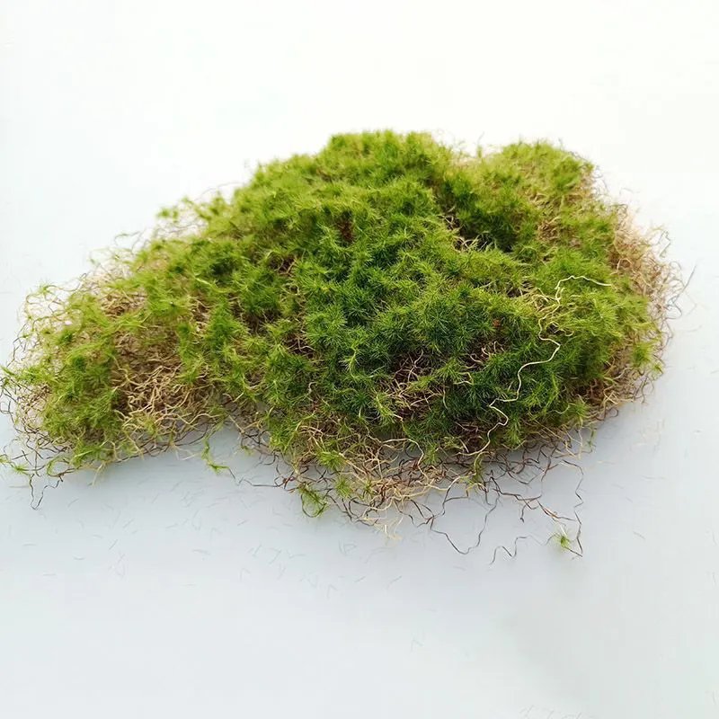 Good quality landscape decorative artificial moss stones hot selling