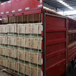 <span class=keywords><strong>Generatore</strong></span> di saldatura a <span class=keywords><strong>benzina</strong></span> monocilindrico a 4 tempi raffreddato ad aria con inverter e <span class=keywords><strong>corrente</strong></span> regolabile - Product Image 6