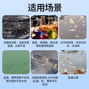 Tabletas de Azufre de Acción Rápida, 20 Unidades, Descomponen Lodos, Aumentan la Oxigenación, Purifican el Agua para Acuicultura - Product Image 3