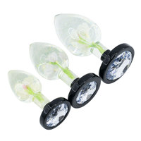 Plug anal en résine transparente avec fleurs séchées pour hommes et femmes, pour dilatation anale, flirt, masturbation, stimulation, jouets sexuels
