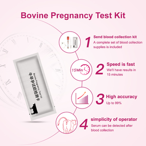 Kit de <span class=keywords><strong>test</strong></span> de grossesse pour vache, bandelettes de <span class=keywords><strong>test</strong></span> de grossesse urinaire pour vache, prix du kit de <span class=keywords><strong>test</strong></span> de grossesse pour vache - Product Image 2