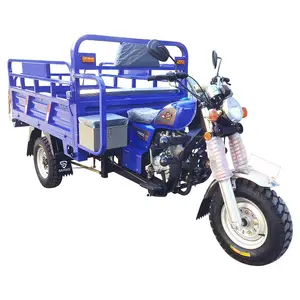 Fabrika yüksek kalite 150/175/200/250cc hava soğutmalı benzin motorlu moto üç tekerlekli bisiklet tuktuk üç tekerlekli motosiklet kargo