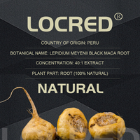 Vente en gros OEM Natura Racine de maca noire et capsules d'Ashwagandha Supplément énergétique pour la santé pour hommes-60 Capsules