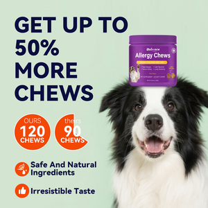 Suplemento Masticable para <span class=keywords><strong>Alergias</strong></span> en Perros Beiyuan OEM/ODM, Ácidos Grasos Omega-3, Vitaminas, Alivio de la Picazón, Apoyo para la Piel y la Salud Respiratoria - Product Image 2