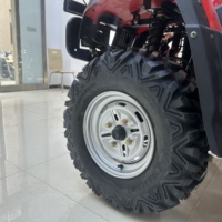 OEM/ODM, moteur à essence de grande puissance et de qualité, fourni par l'usine, 250CC, nouveau quad à quatre roues pour usage agricole